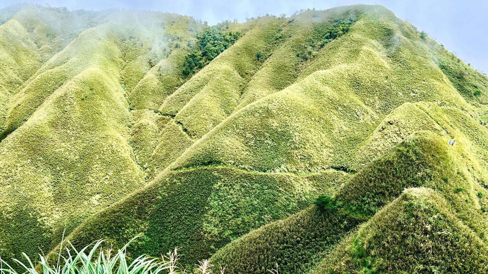 像抹茶蛋糕一樣的山