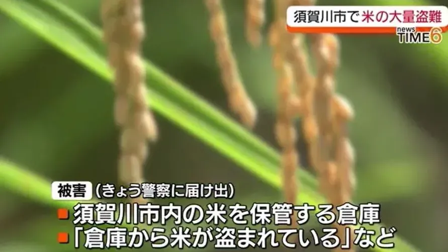 日本爆米荒致超市推限購　福島農家過千公斤越光米被盜