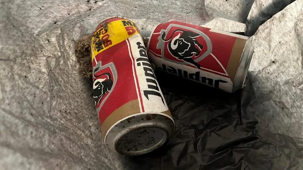 藝術品「我們共度的所有美好時光」隨地擺放。(互聯網)