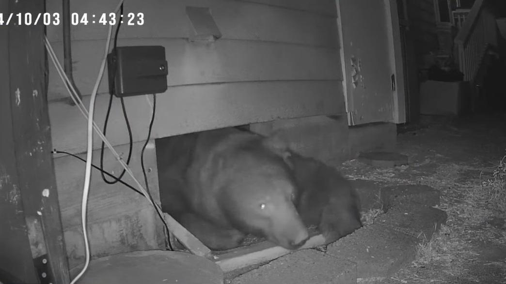 小型攝影機拍到龐然巨物從地下室慢慢爬出來。(互聯網)