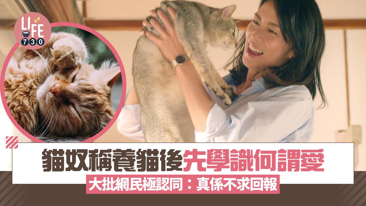 網上熱話｜貓奴稱養貓學識何謂愛 大批網民極認同：真係不求回報