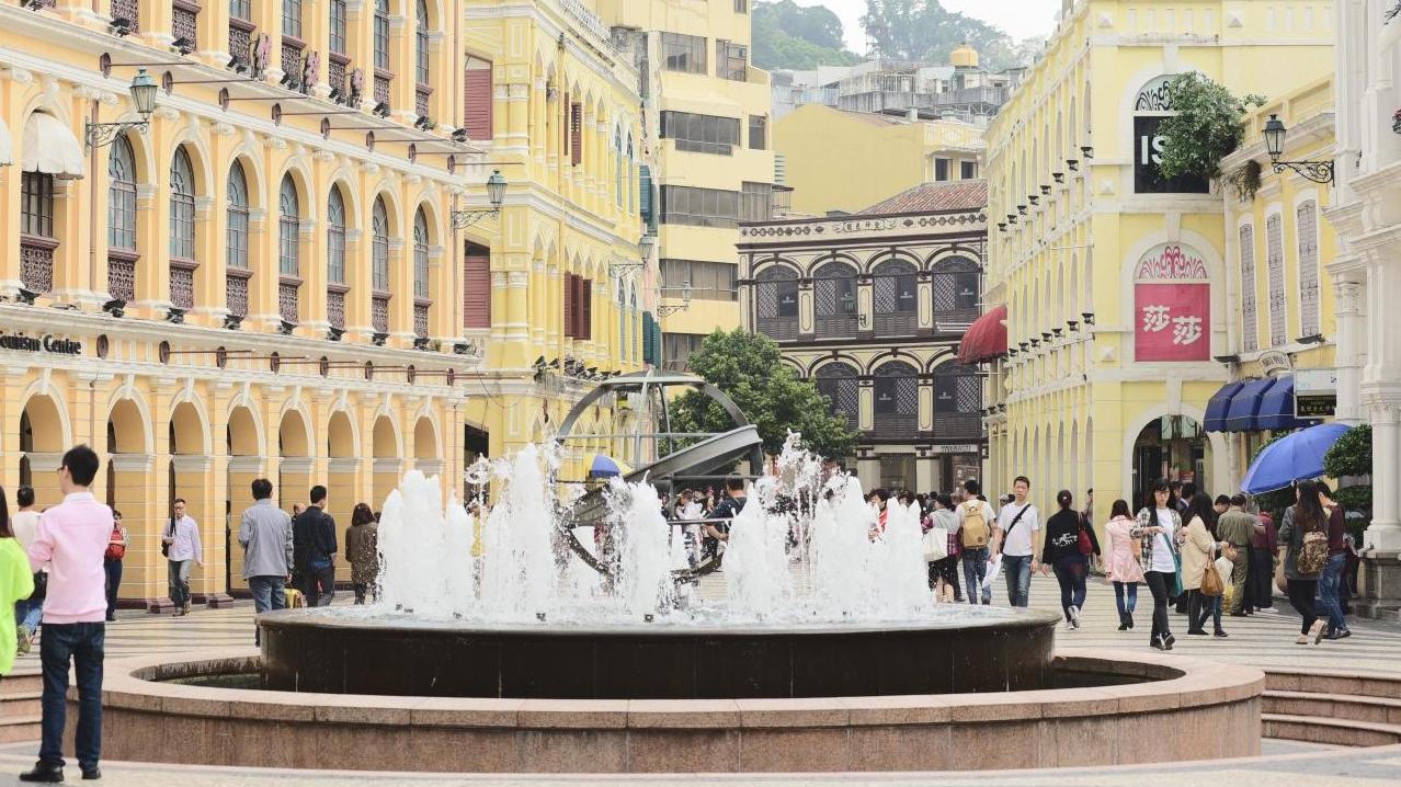 登革熱｜澳門錄今年首宗本地感染病例　否認潛伏期外遊