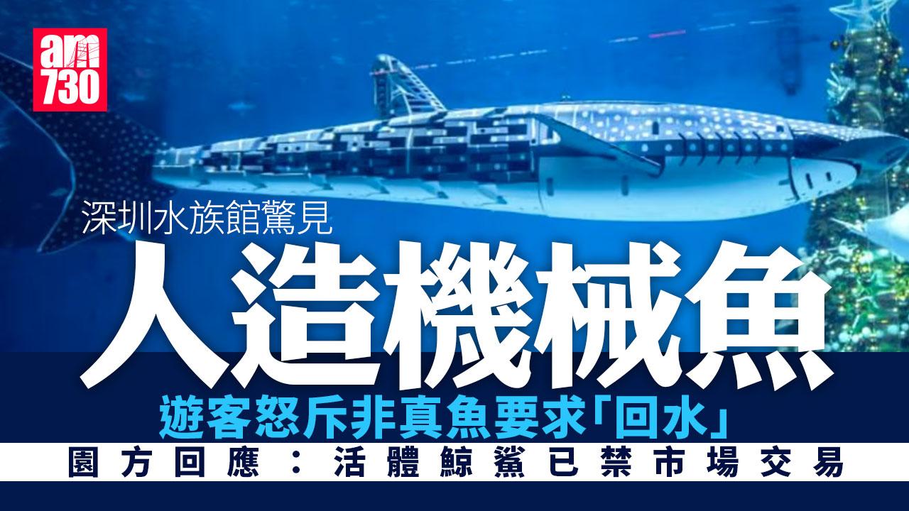北上消費｜深圳小梅沙海洋世界展「機械鯨鯊」　遊客喊回水園方有回應