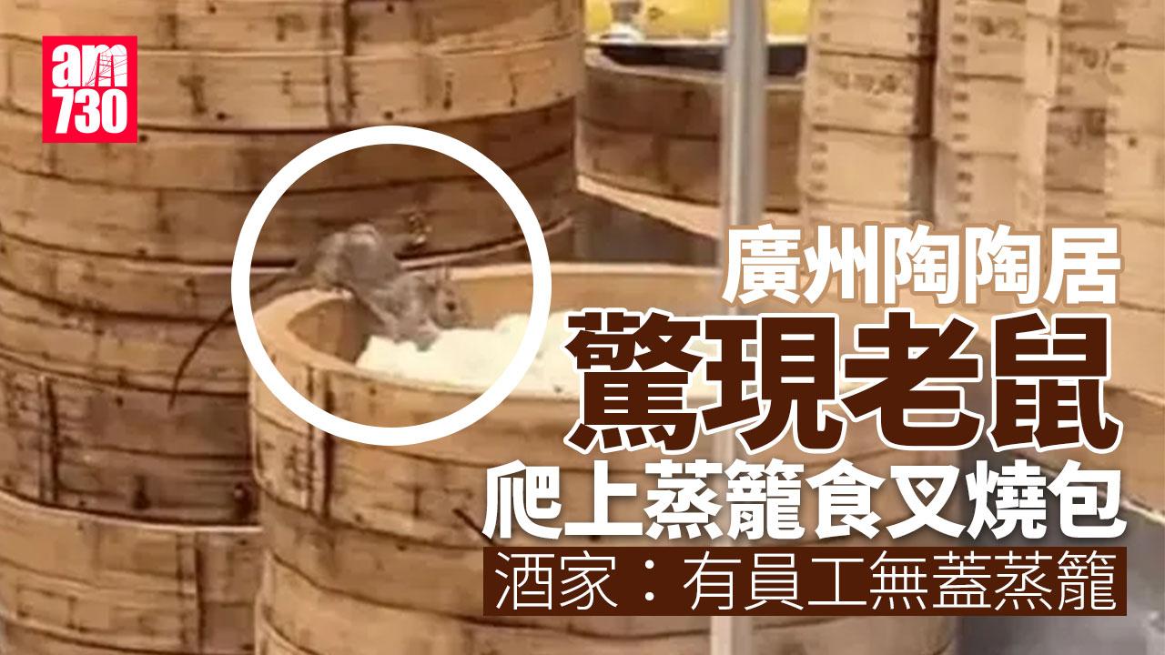 廣州陶陶居被揭米奇啃食叉燒包　指涉事員工已停職(有片)