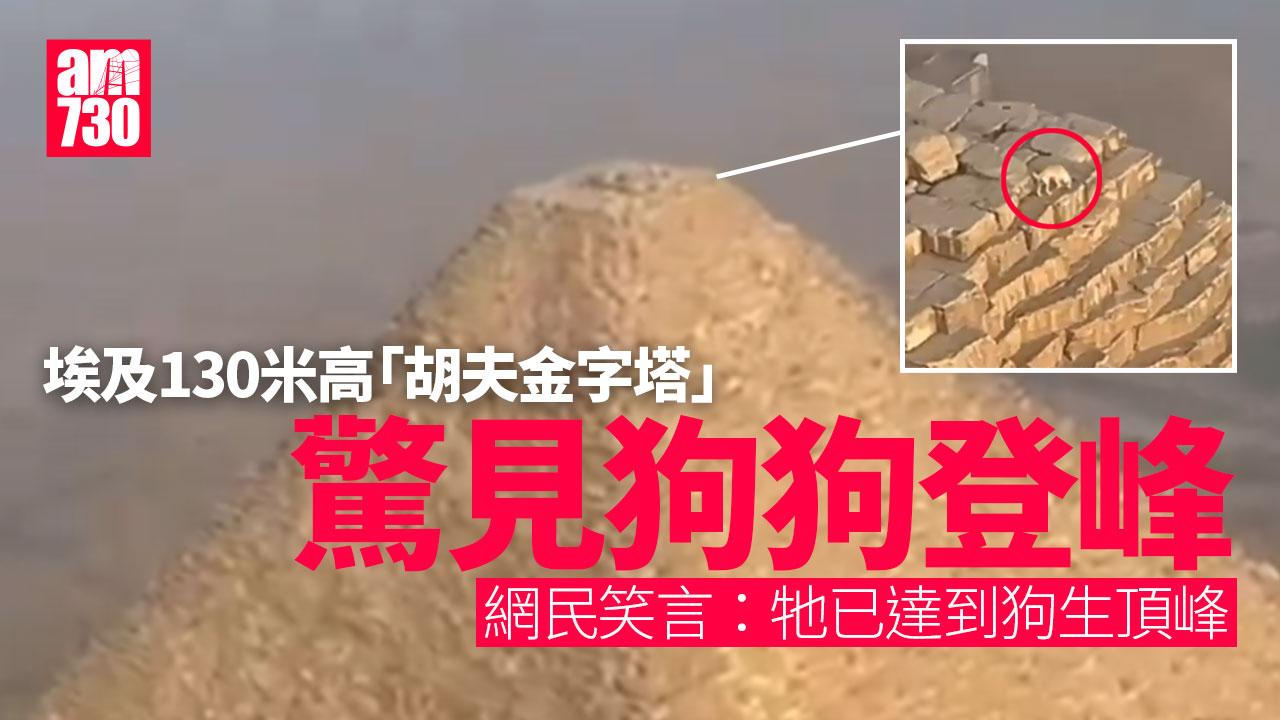 胡夫金字塔頂驚見狗狗登峰　網民驚嘆：如何做到？(有片)