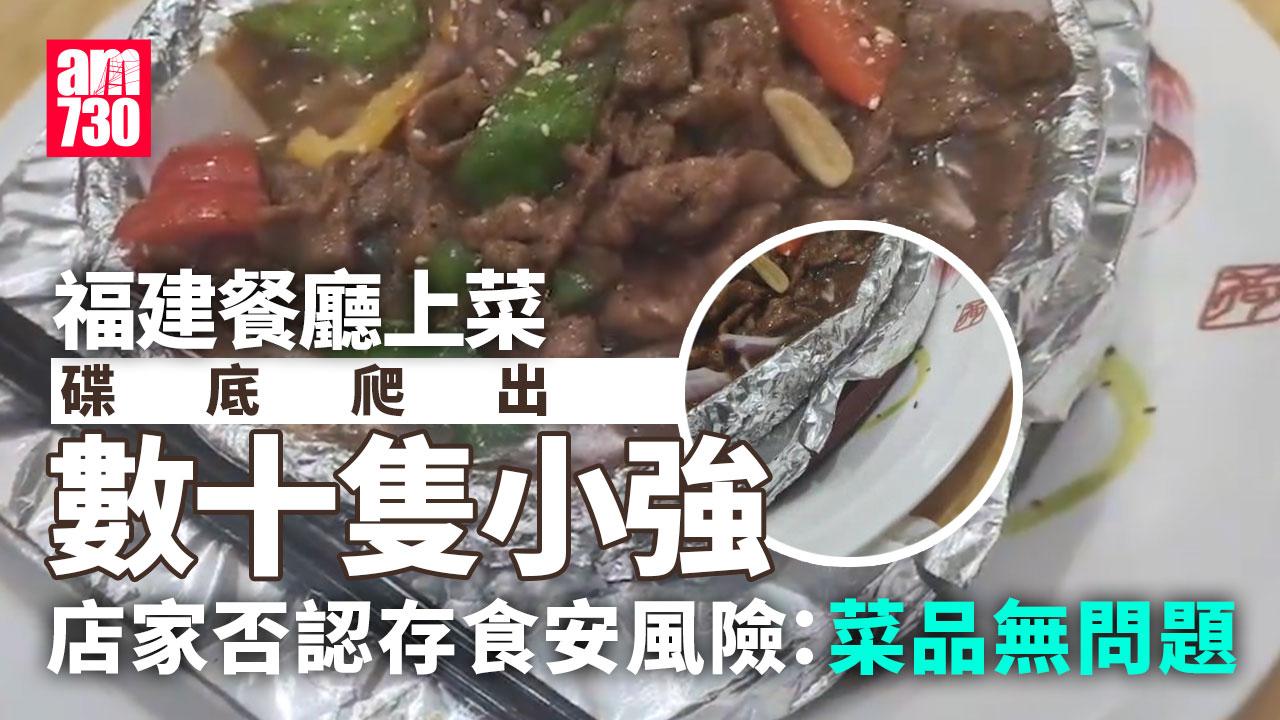 福建餐廳上菜爬出十幾隻小強