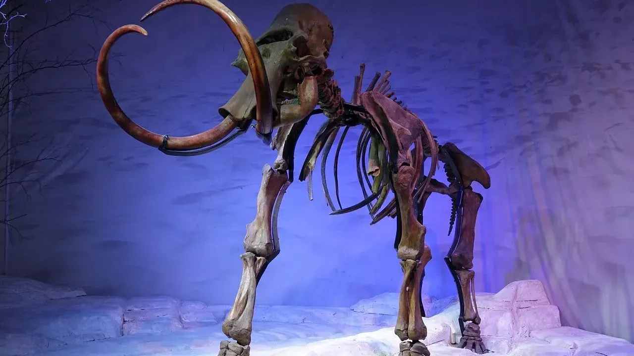 美國科企：2028年復活長毛象　冀助保護北極永久凍土