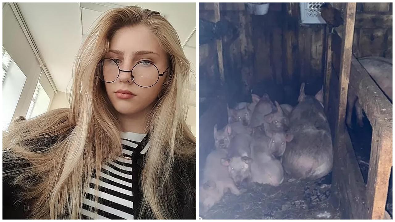 17歲少女頸動脈被咬破慘死豬欄，警揭另有內情拘男鄰居。(X)