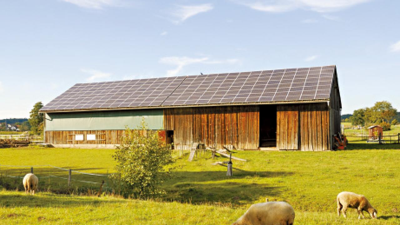 農業：文明的支柱