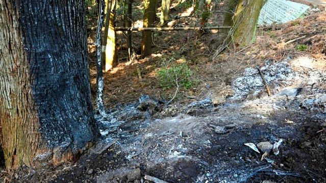 一名越南人在日本遭同胞殺害後，連人帶車在荒郊燒毀。(新聞圖片)