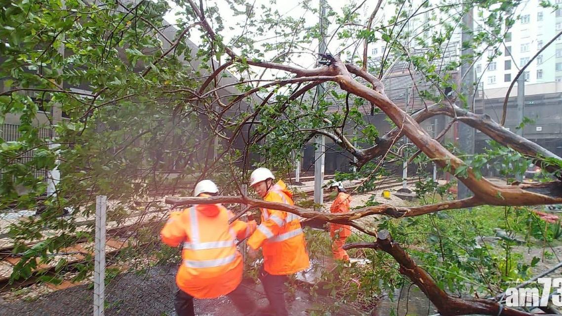 2018年颱風山竹是香港近年十號風球之一。（資料圖片）