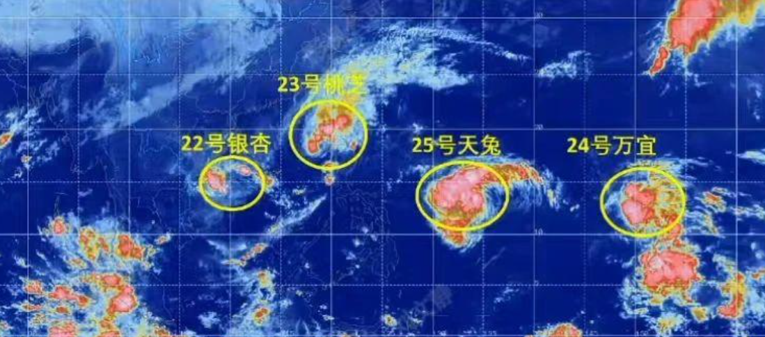颱風「天兔」生成，加上原有的「銀杏」、「桃芝」、「萬宜」，創下西北太平洋地區首度在11月同時有4個颱風存在的紀錄。(網上圖片)