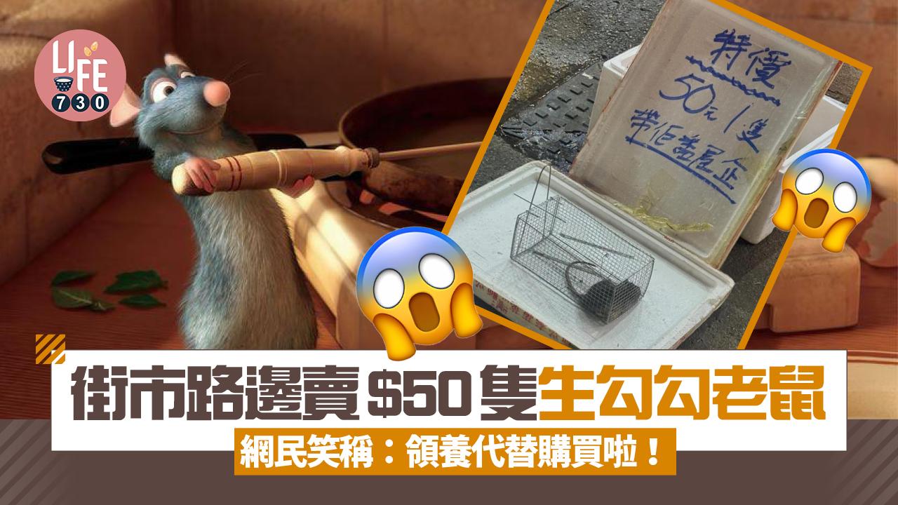 網上熱話｜街市路邊賣生勾勾老鼠 一隻盛惠50蚊 網民笑稱：領養代替購買啦！