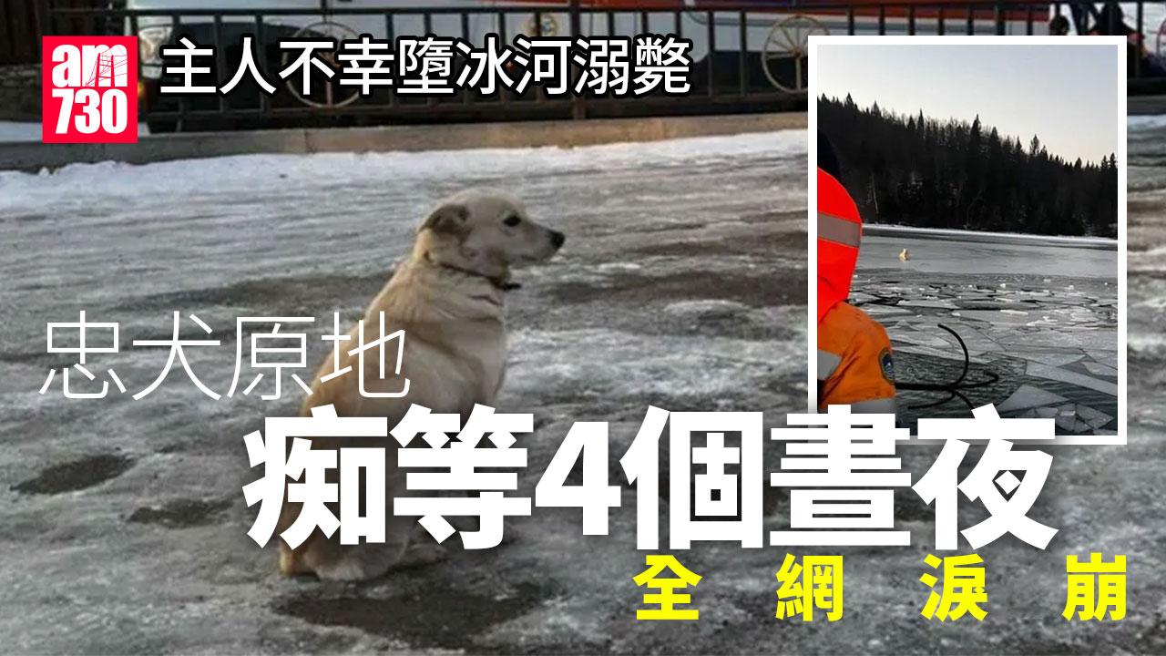 主人不幸墮冰河喪命　忠犬原地痴等4個晝夜(有片)