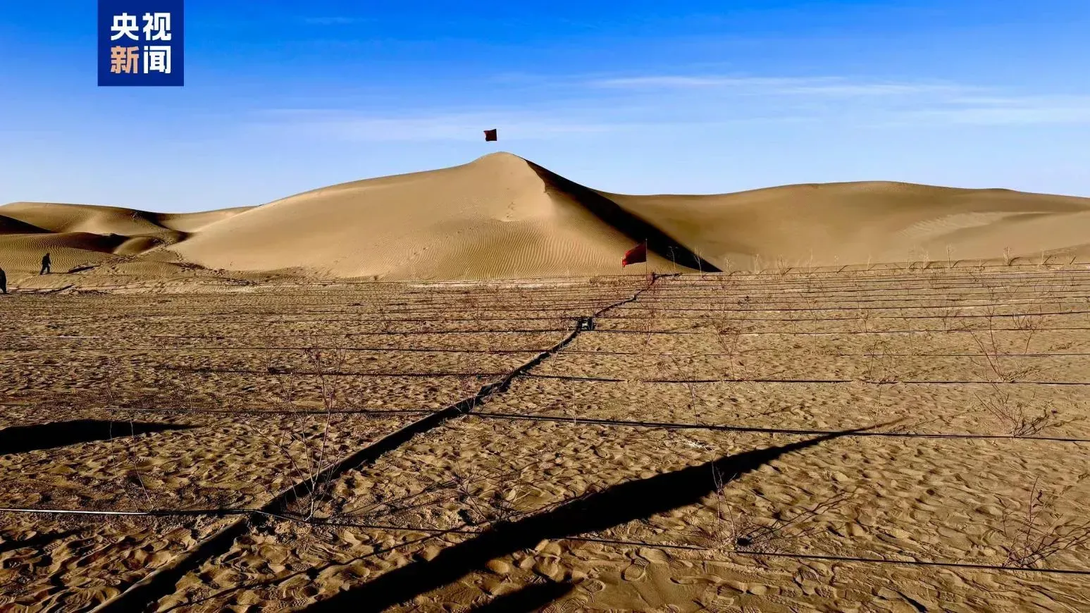 中國用40多年建3046公里綠化屏障　包圍塔克拉瑪干沙漠