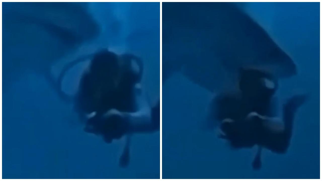 馬爾地夫中國女遊客險遭虎鯊咬甩頭，大難不死要縫逾40針。(X)