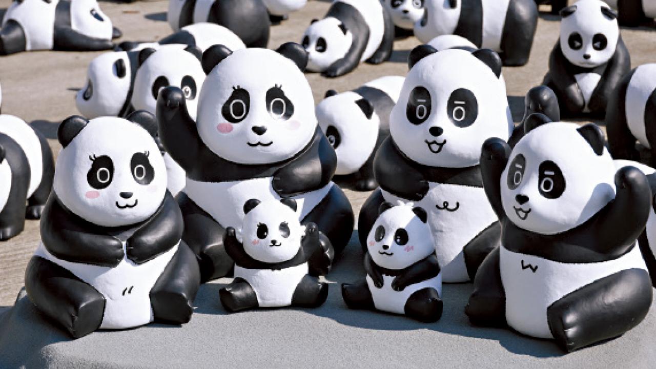 大熊貓熱潮12月捲全城！ 安安可可準備就緒 2500「小熊貓」抵港 周六起巡展任打卡