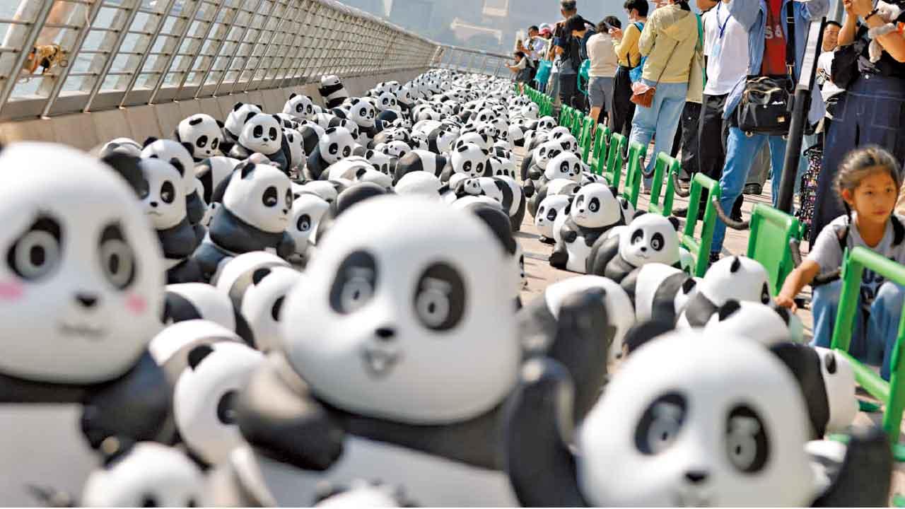 PANDA GO香港遊1000熊貓雕塑  下周一公開認捐 全數贈海洋公園保育