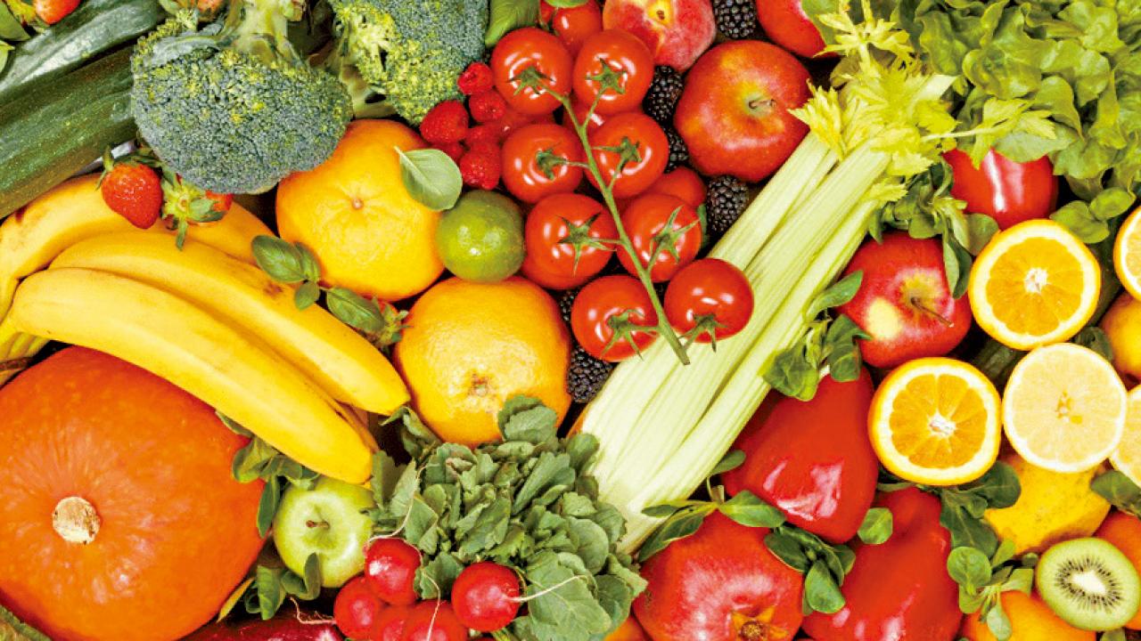 生蛇需要攝取足夠維生素