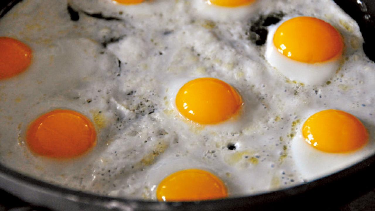 膽固醇之謎：我一個月吃了720隻蛋