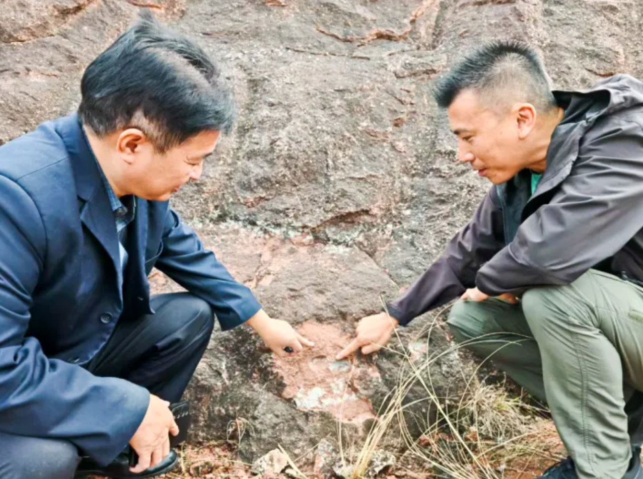 葉恒榮（右）發現一窩6枚恐龍蛋化石。（網上圖片）