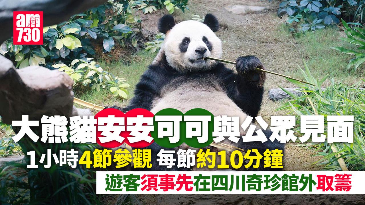 大熊貓安安可可首日見公眾每節10分鐘　海洋公園開放前已輪候入場 (多圖)