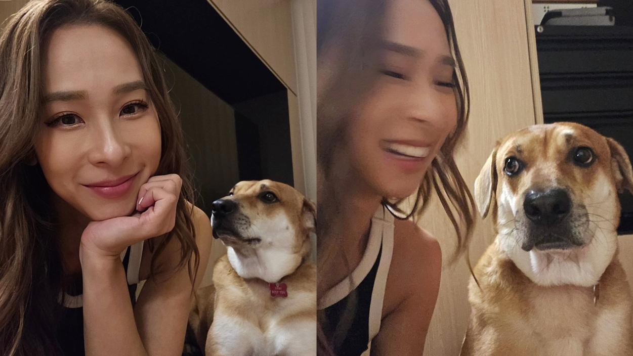 「東張女神」李旻芳網上公審愛犬眼藐藐 冷暴力對待