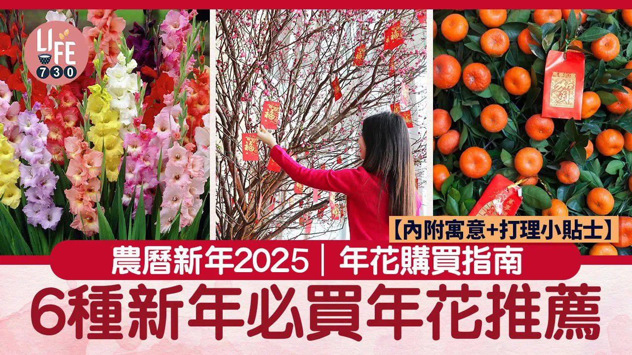 農曆新年2025｜6種新年必買年花推薦　內附寓意+打理小貼士
