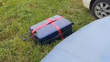 大量蛆蟲從行李箱縫隙爬出，有蒼蠅飛來飛去，十分恐怖。(互聯網)