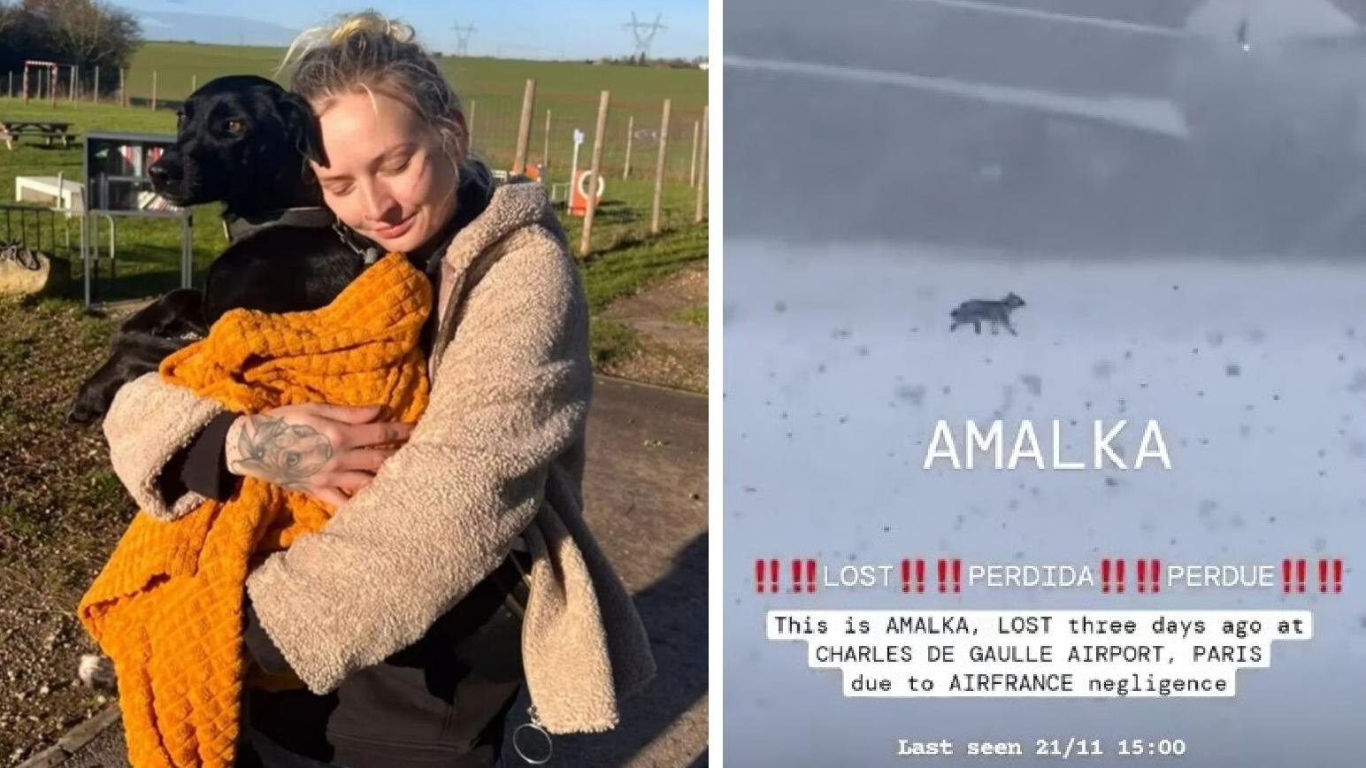 有民眾拍到狗狗在機場雪地上遊蕩(右)，經過多天尋找，狗狗終與主人團聚(左)。(互聯網)