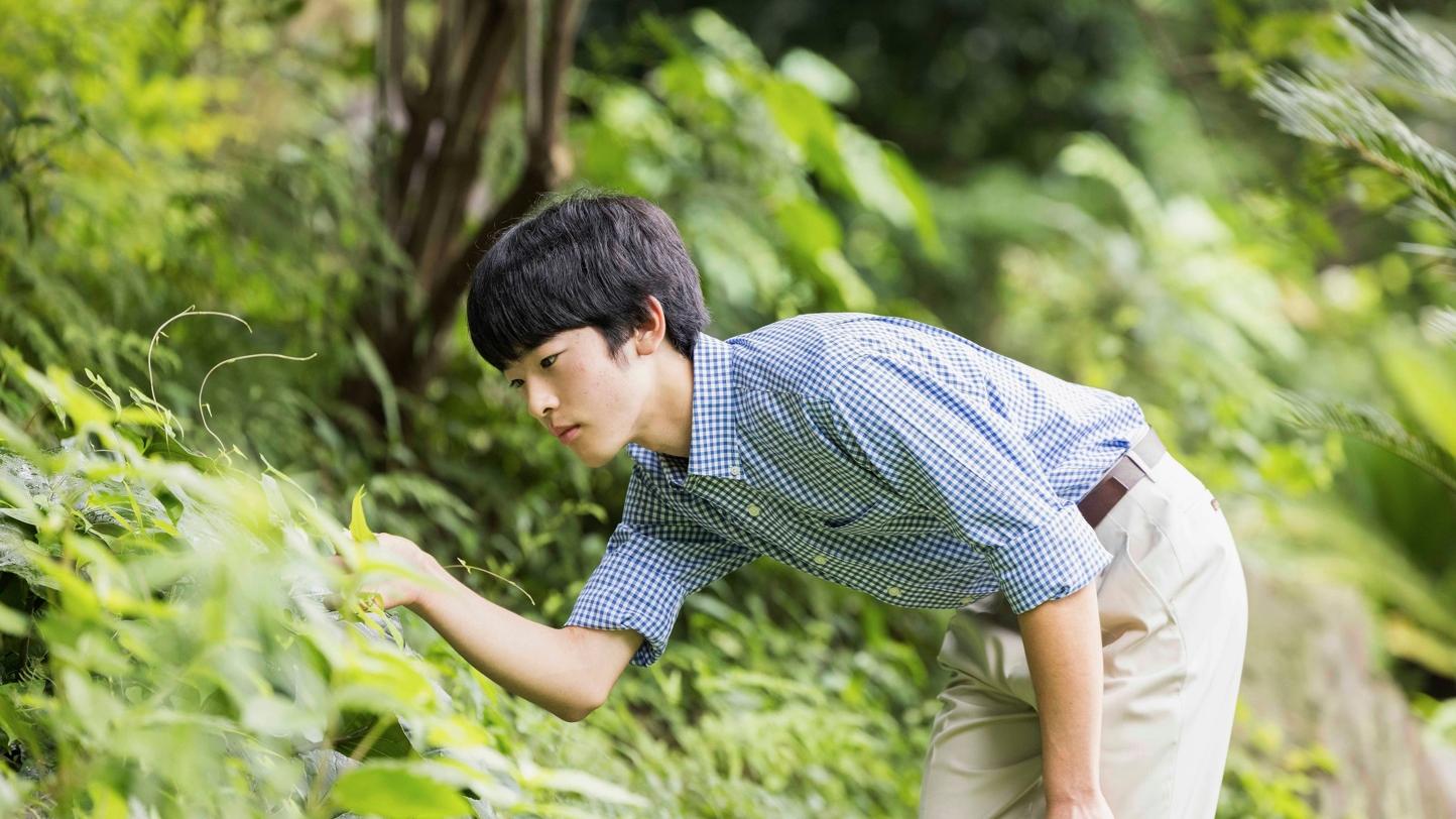 悠仁親王自小對研究昆蟲及自然科學感興趣。(互聯網)