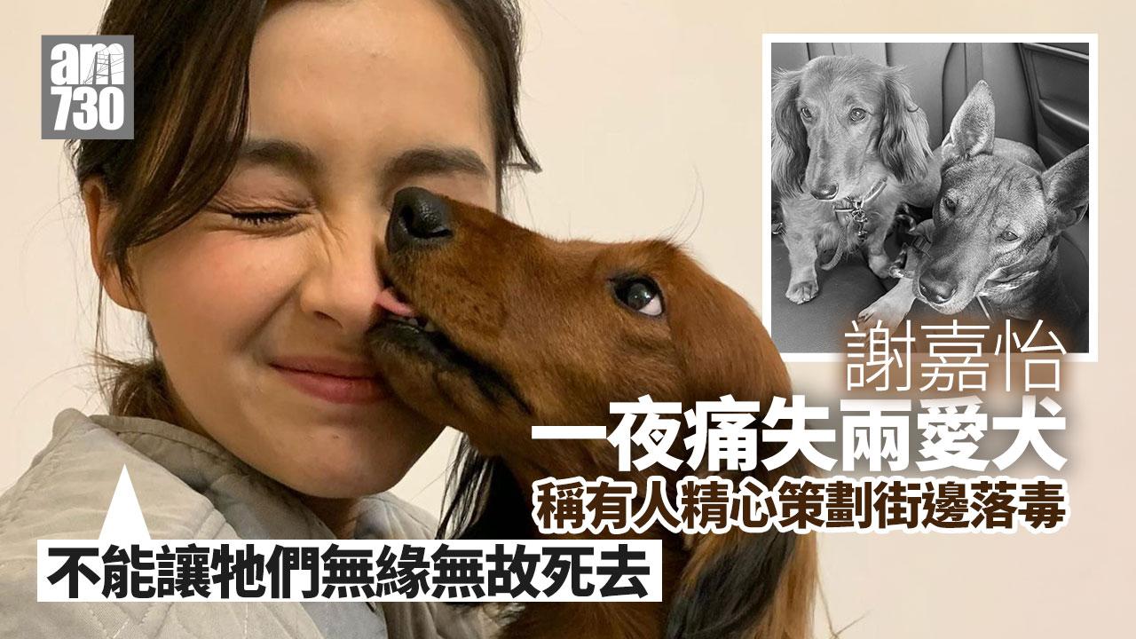 謝嘉怡一夜失兩愛犬 有人精心策劃街邊落毒：不能讓牠們無緣無故死去
