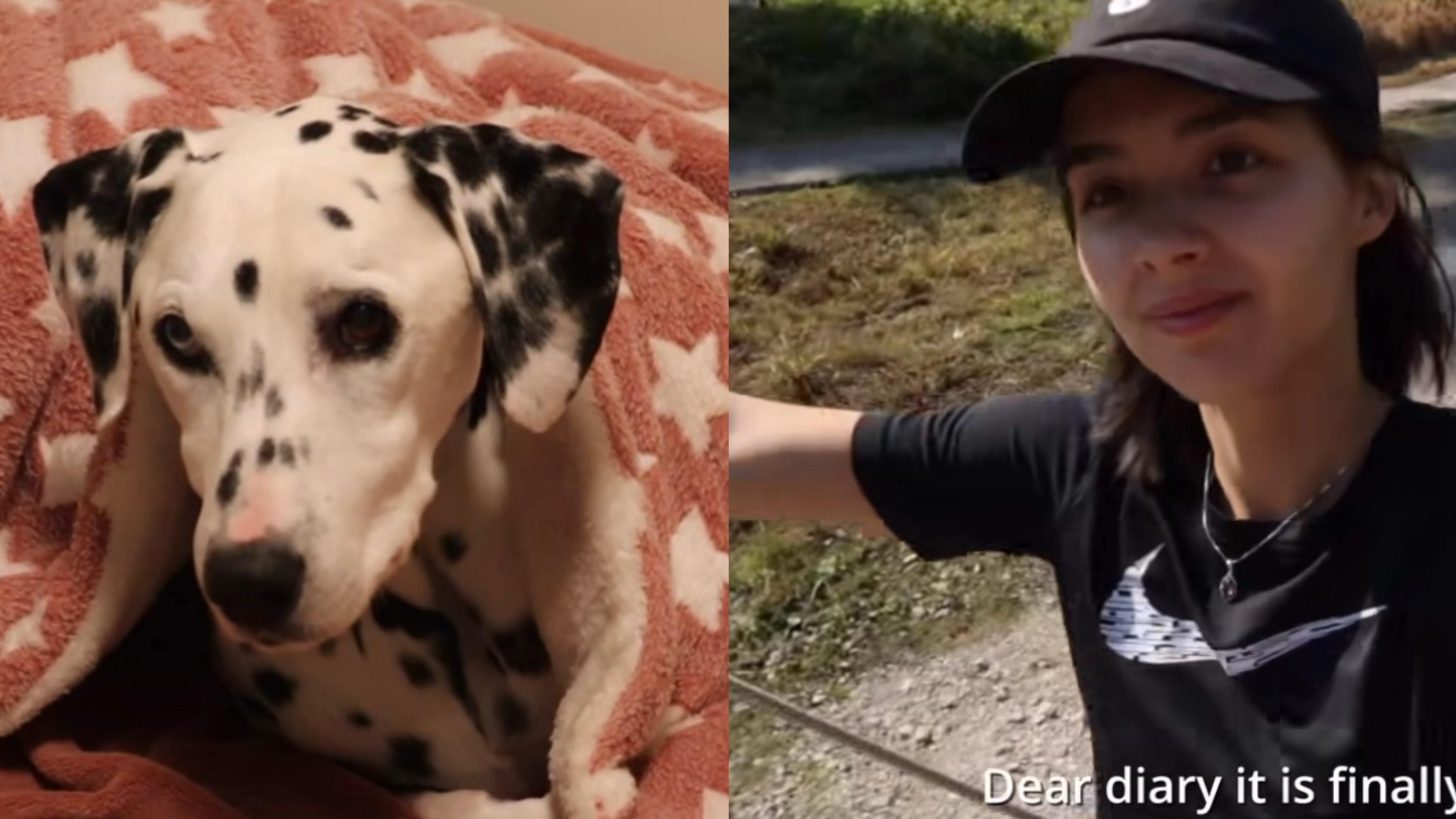 謝嘉怡新一年挑戰365日寫日記 生還愛犬Leo呈中毒徵狀後近況曝光