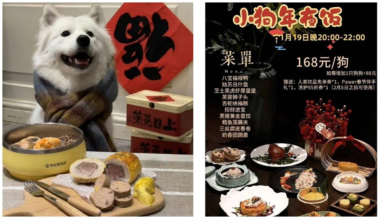 內地寵物團年飯熱賣，網民：吃得比我好。(微博)