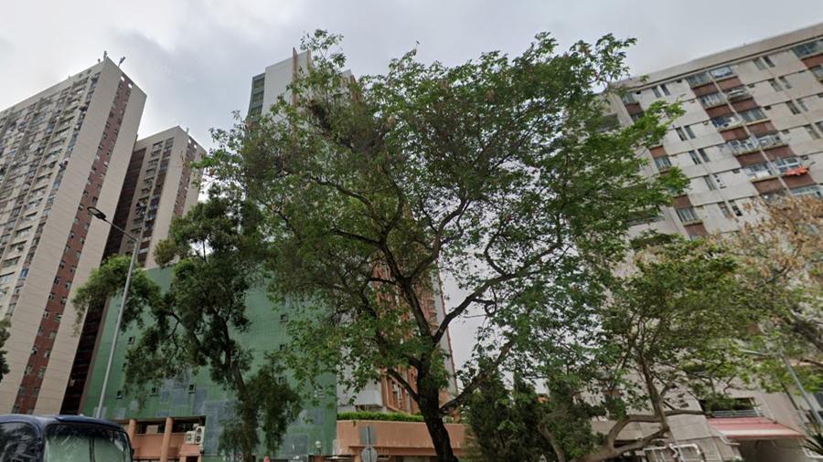 元朗水邊圍邨單位傳異味，鄰居報案揭男住客倒斃。(Google Map)