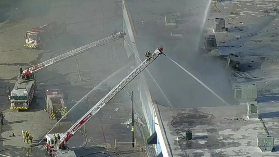 德州商場起火，寵物店579隻動物慘遭焗死。(X)