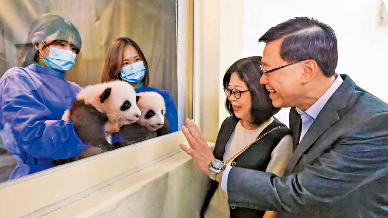 大熊貓龍鳳胎2.16與公眾見面  李家超︰名命活動 稍後公布