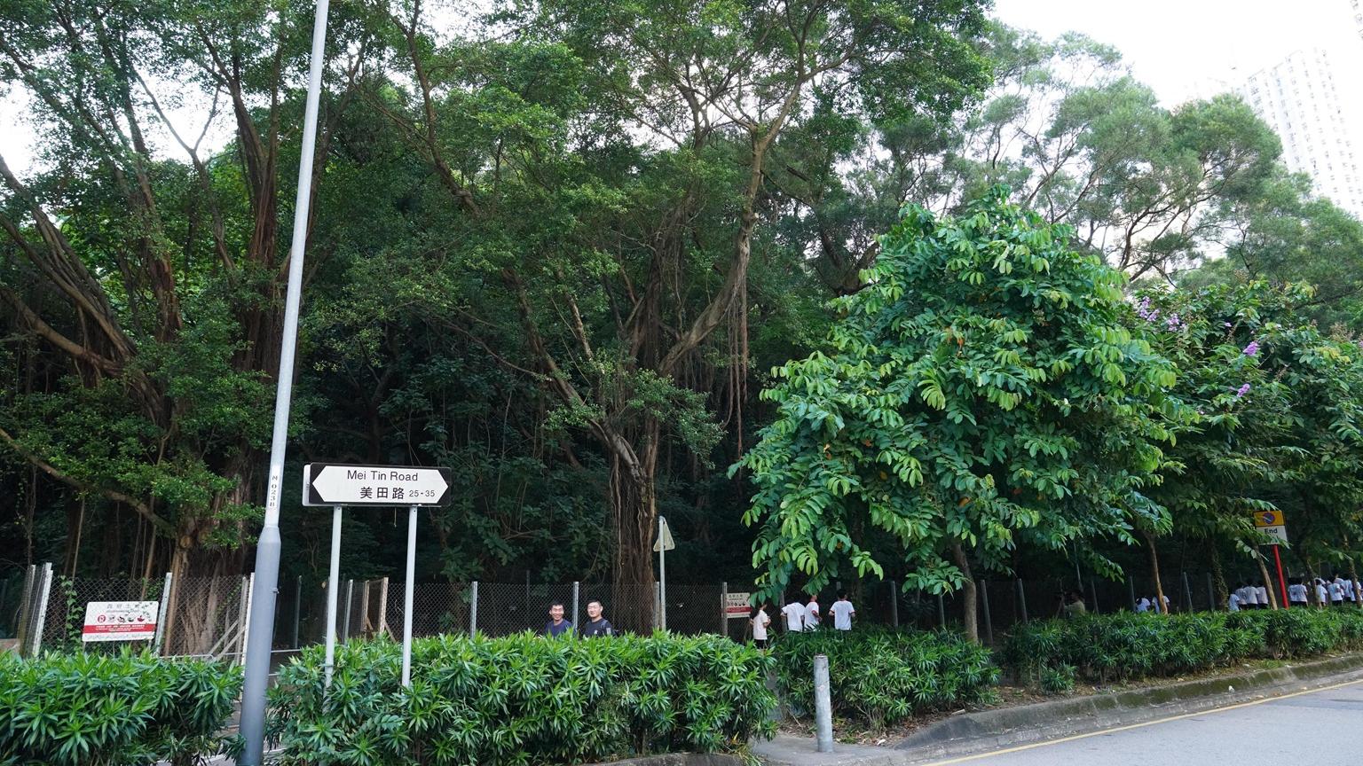 大圍美田路住宅地接獲至少6份標書 長實、信置、建灝等有份競投｜地皮截標