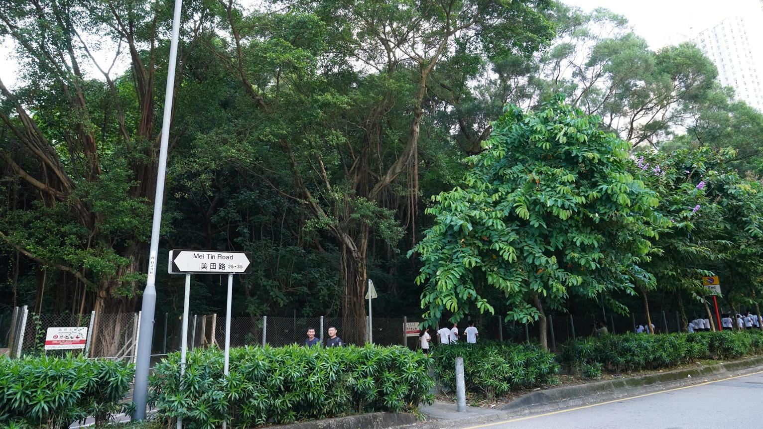 地皮開標｜新地6.06億中標大圍美田路住宅地 每呎3128元符預期