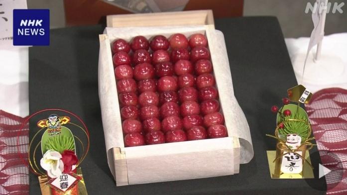 山形縣高級櫻桃品種「佐藤錦」周日(5日)舉行新年拍賣會。(互聯網)