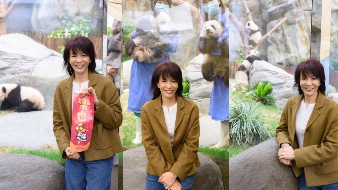 大熊貓BB｜Do姐率先跟家姐細佬見面 近距離合照令人羨慕