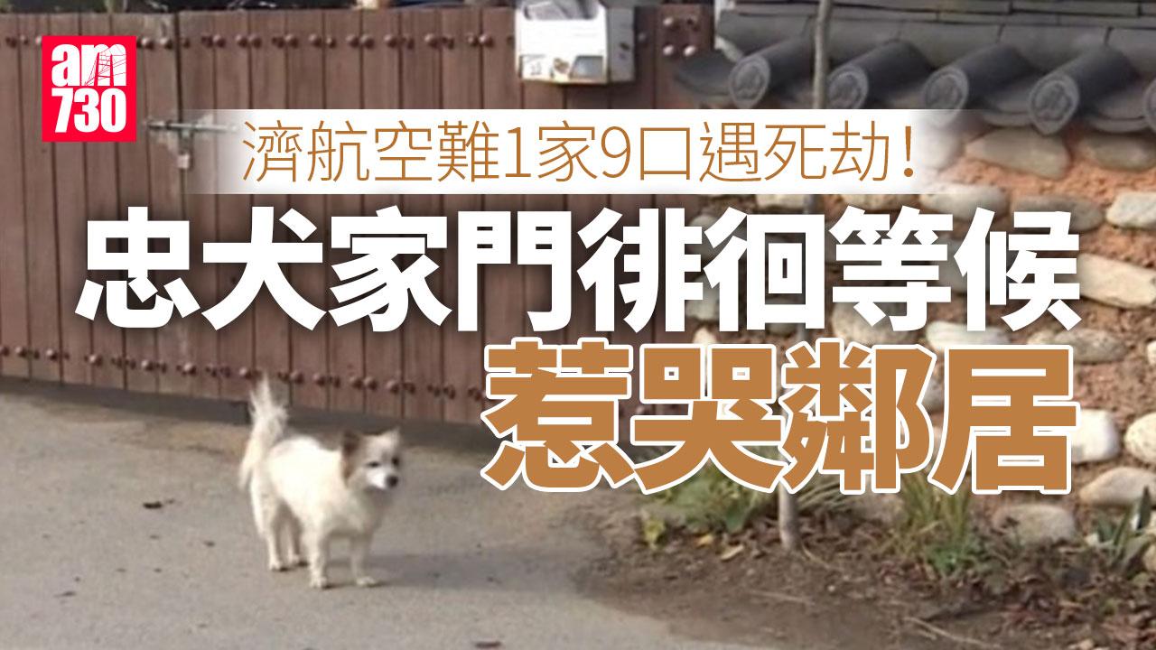 濟州航空空難｜濟航空難1家9口遇死劫！　留忠犬獨守家門等主人惹哭鄰居