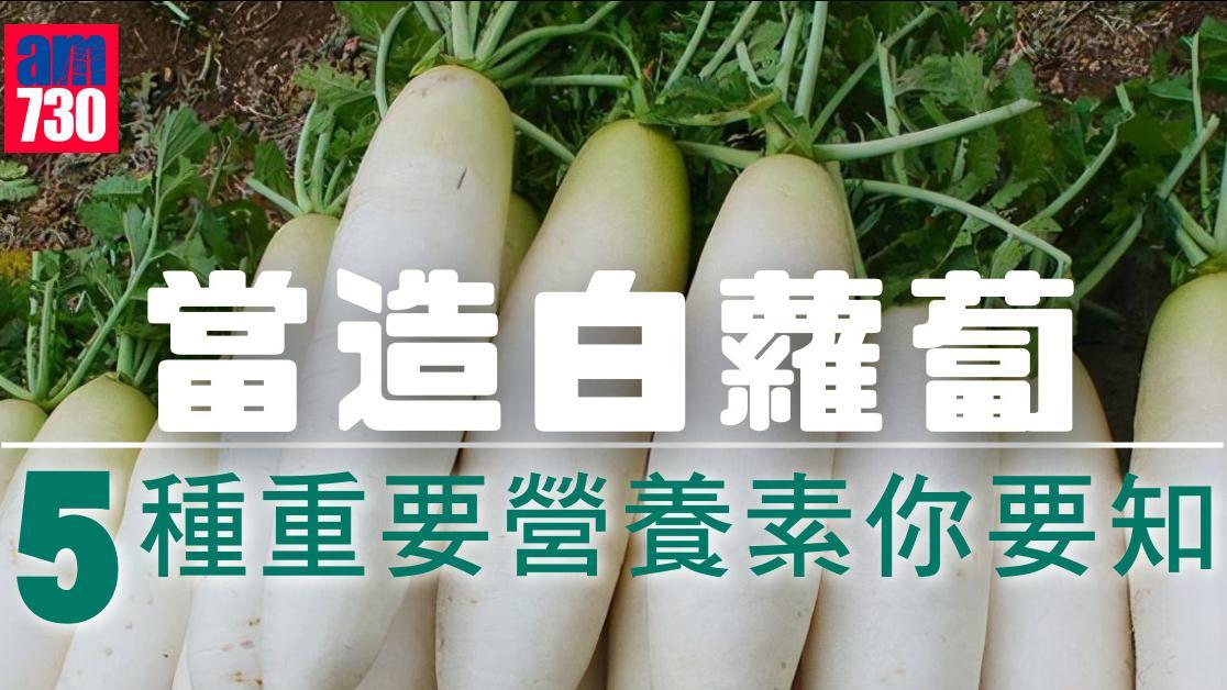 白蘿蔔功效｜營養包括蘿蔔硫素膳食纖維  抗腫瘤潤腸排便（am730製圖）