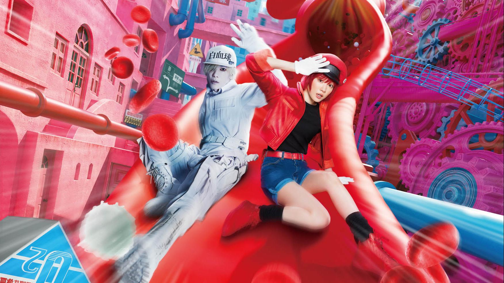 《工作細胞》 前段谷爆笑「屎」 　後段與癌共「武」