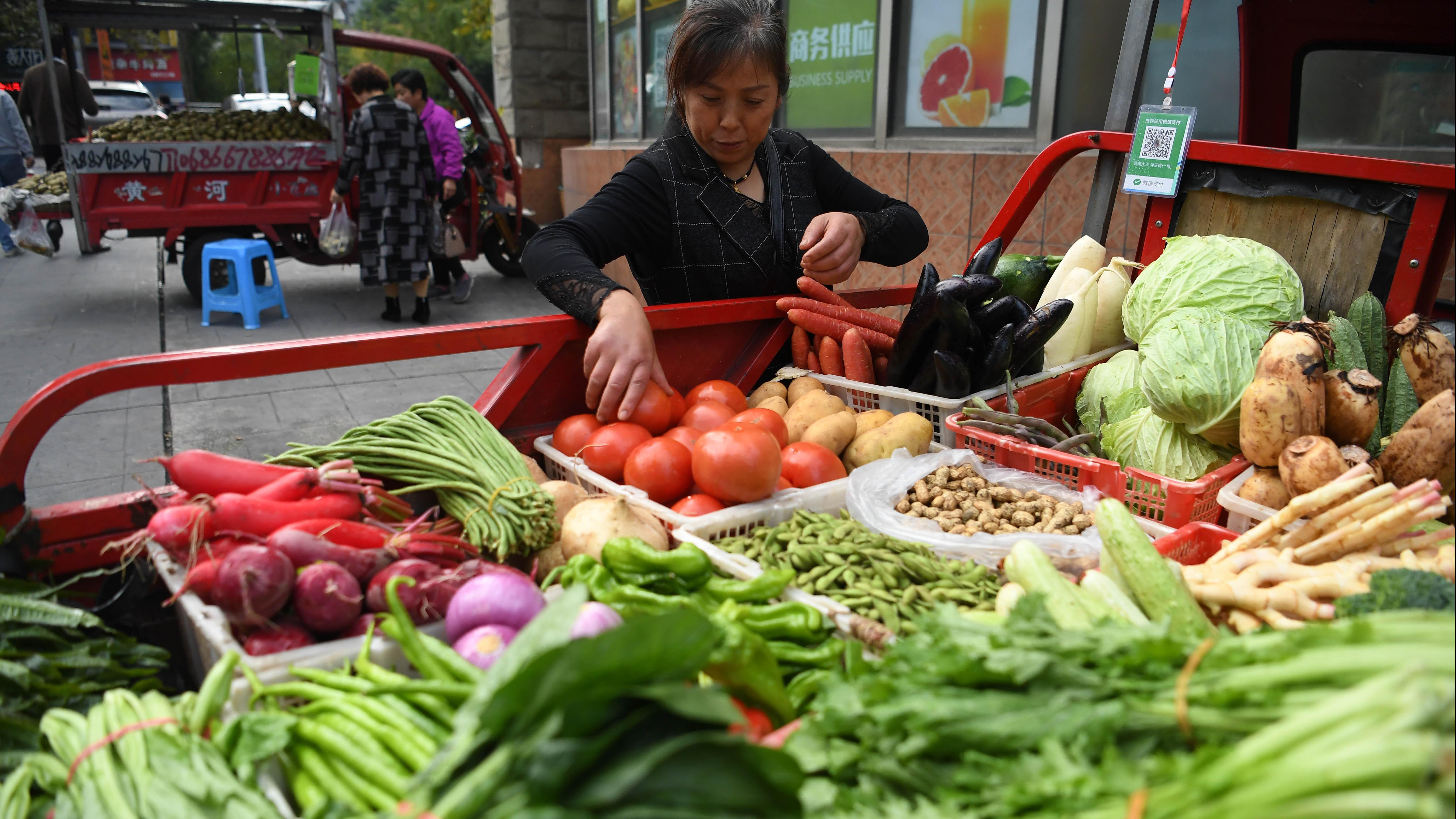 中國糧食安全的重要性與科技提升之道