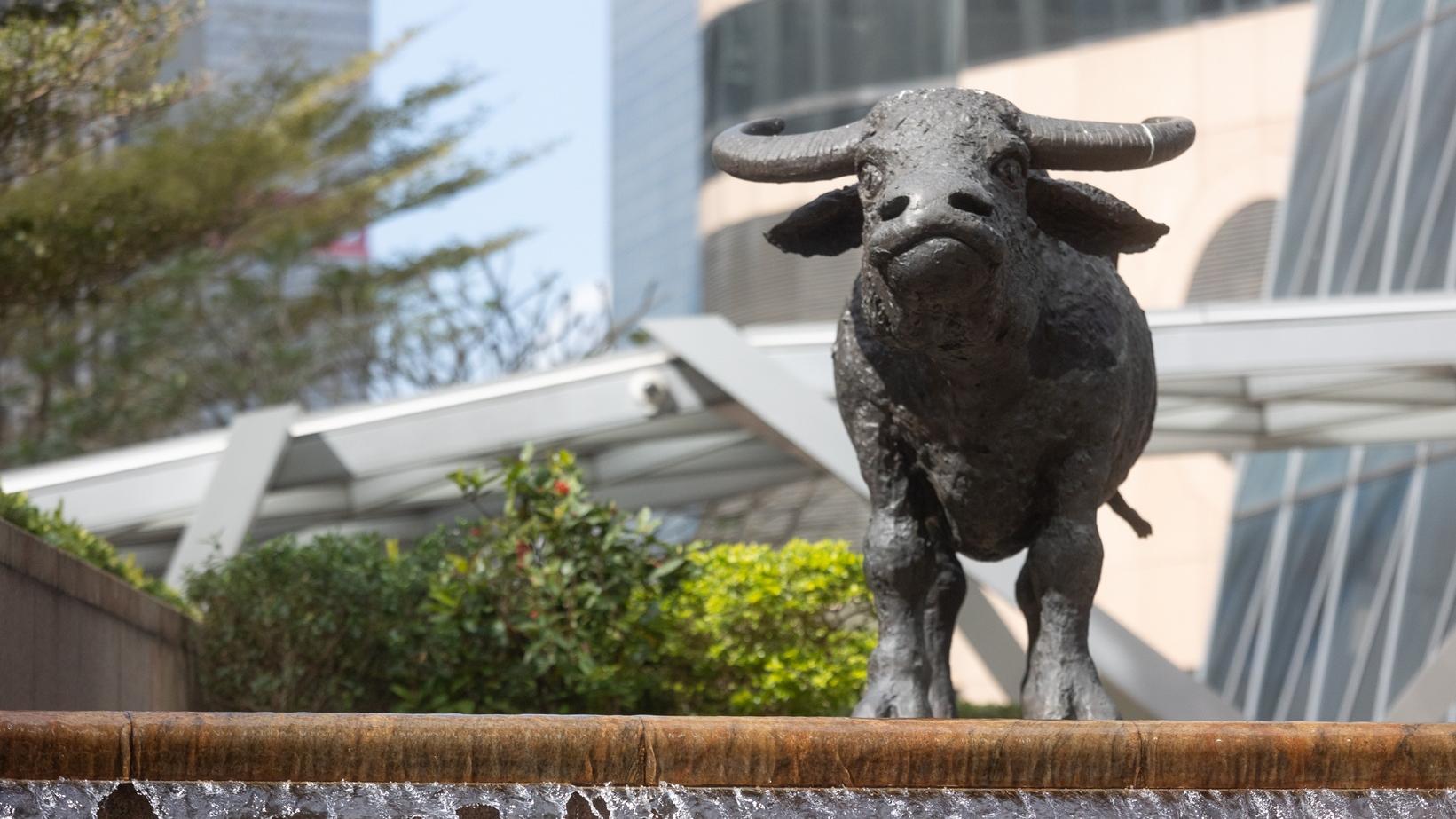 忌過急過勇 做妥風險管理