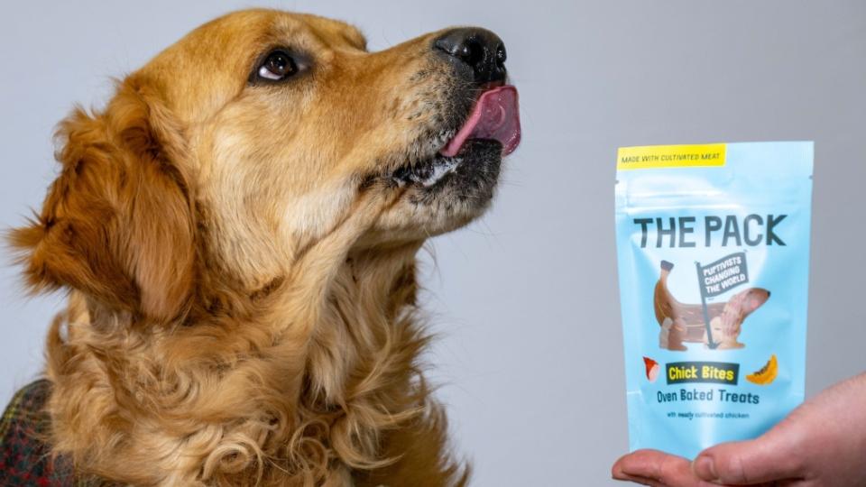 全球首款素肉狗零食面世，技術性陪主人食齋？(網上圖片)
