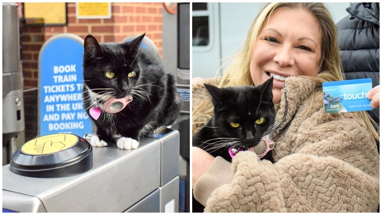 貓咪獨自搭27公里火車爆紅獲終身VIP，主人：牠不用再逃票。(X)