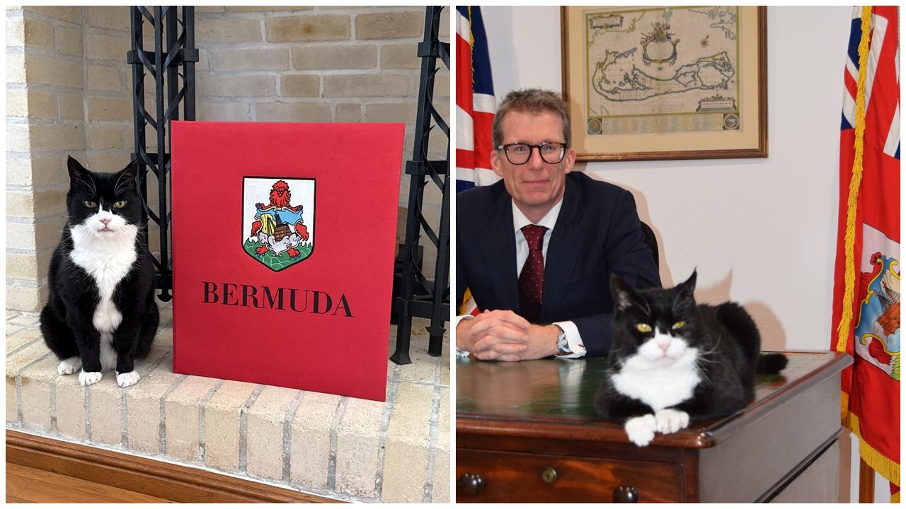 英前外交部首席捕鼠大臣派駐百慕達，成史上第一個貓外交官。(X)