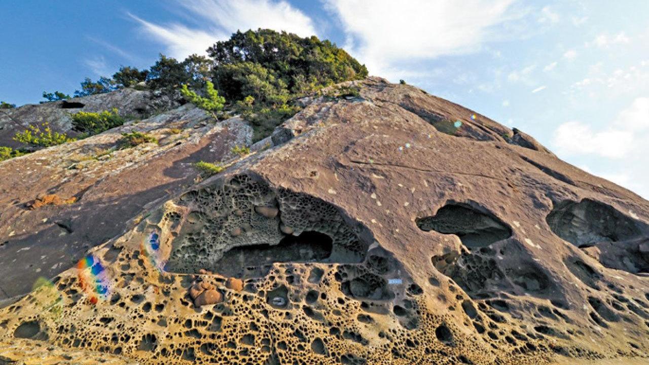 中大學者籲增加地質及古生物學科普課程